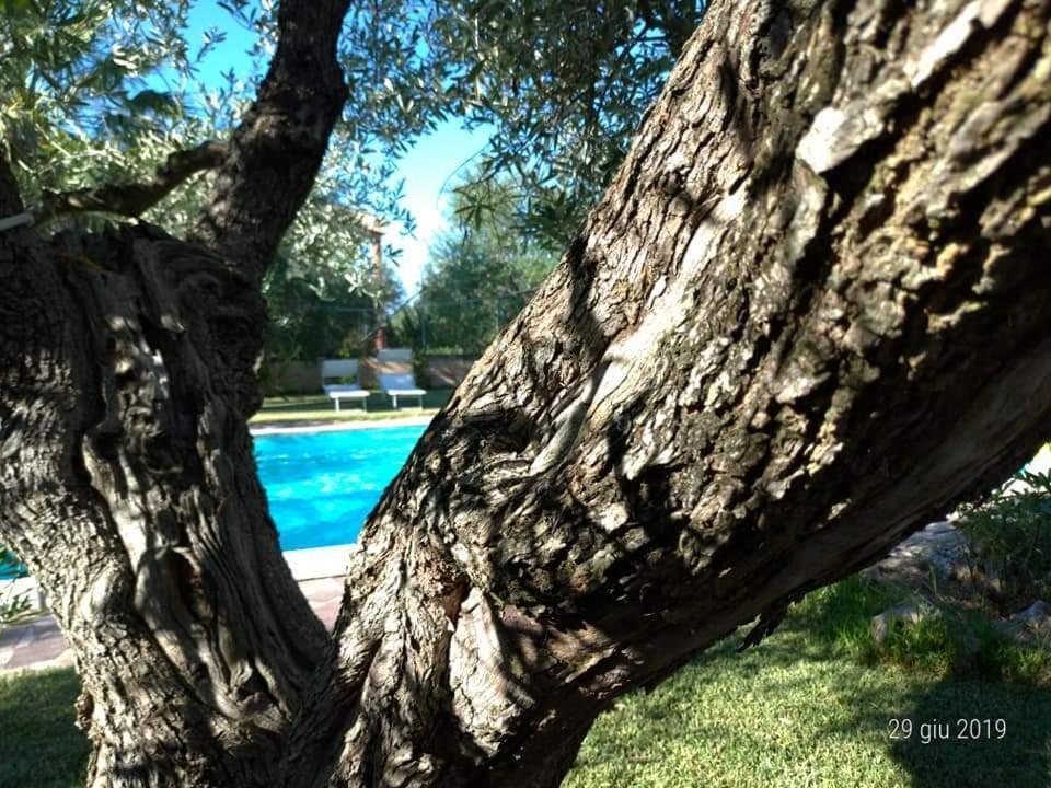 Bed and Breakfast La Ginestra Trani Exterior foto